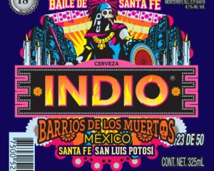 dia de muertos por los barrios de mexico